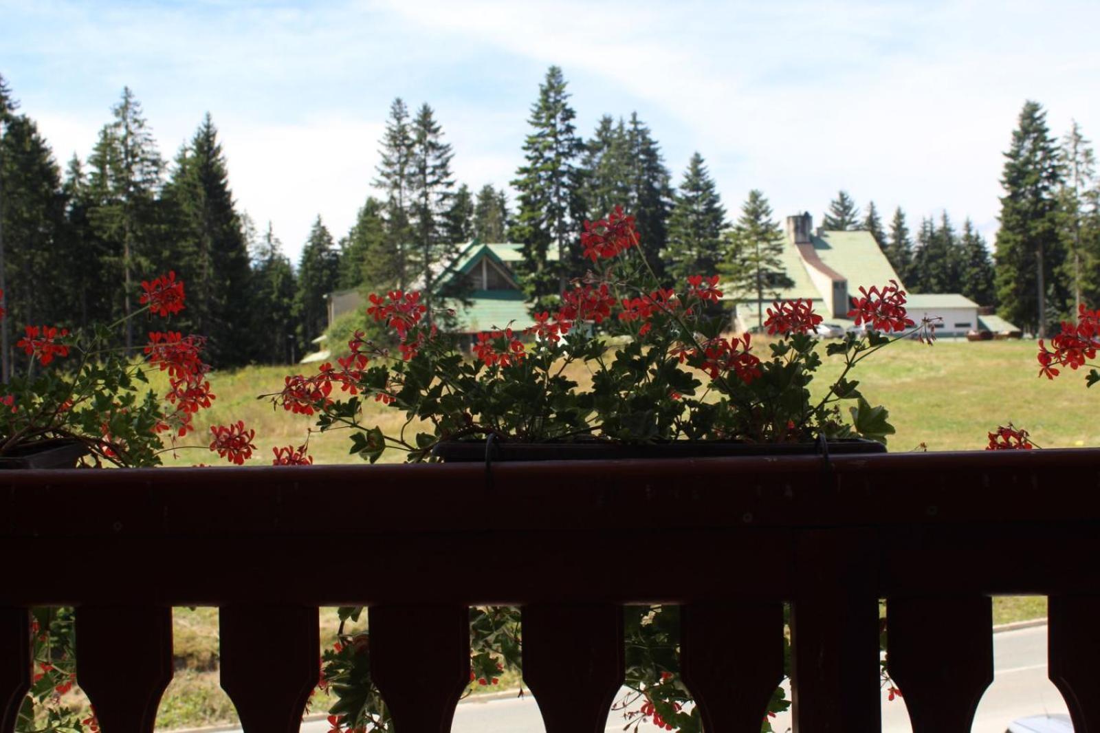 In Hotel Zlatar Ex Zlatarski Biseri Nova Varoš Kültér fotó