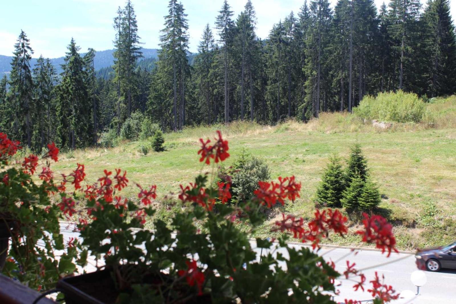 In Hotel Zlatar Ex Zlatarski Biseri Nova Varoš Kültér fotó
