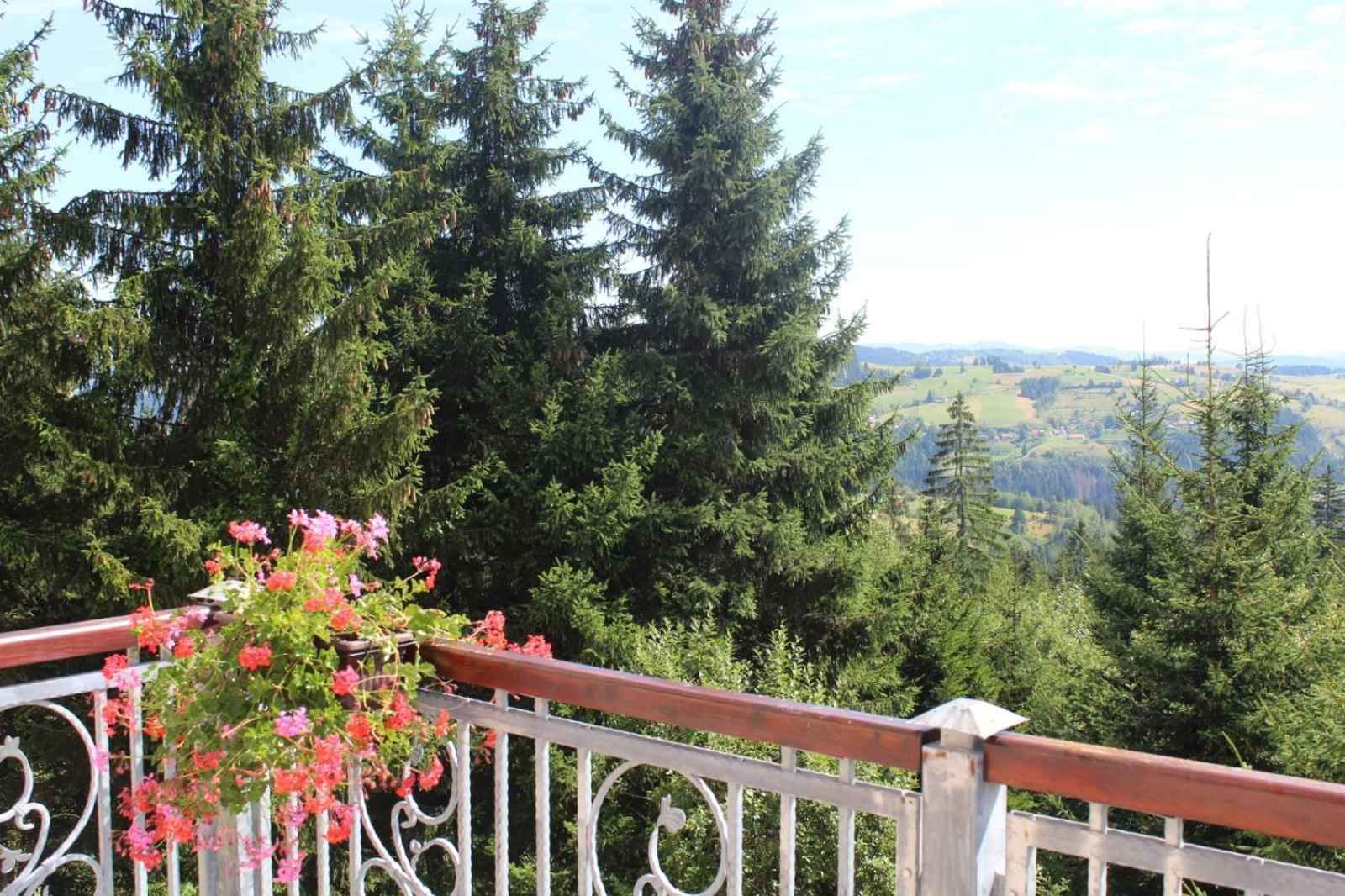 In Hotel Zlatar Ex Zlatarski Biseri Nova Varoš Kültér fotó